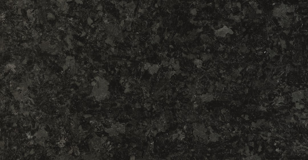 LABRADOR ANGOLA BLACK (C)