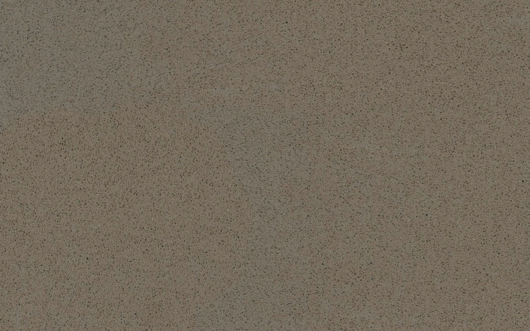 NOKA POLI (B) (PLUS DISPONIBLE)