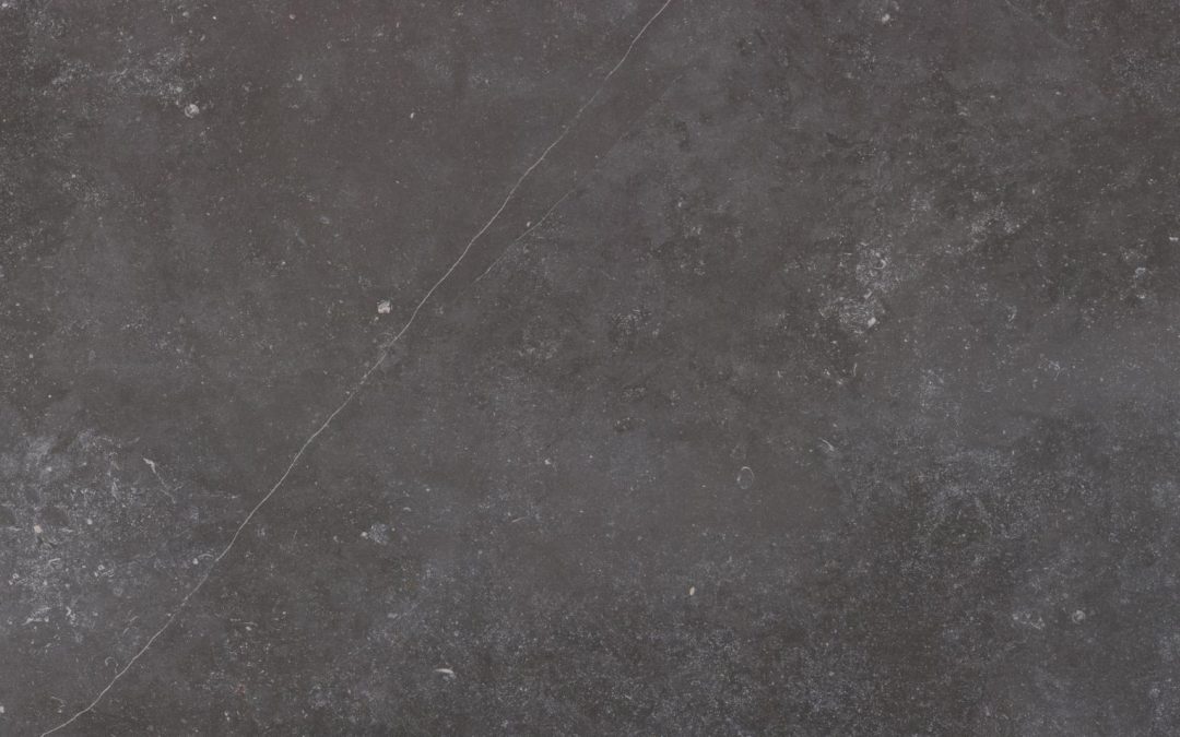 FOSSIL (PLUS DISPONIBLE)